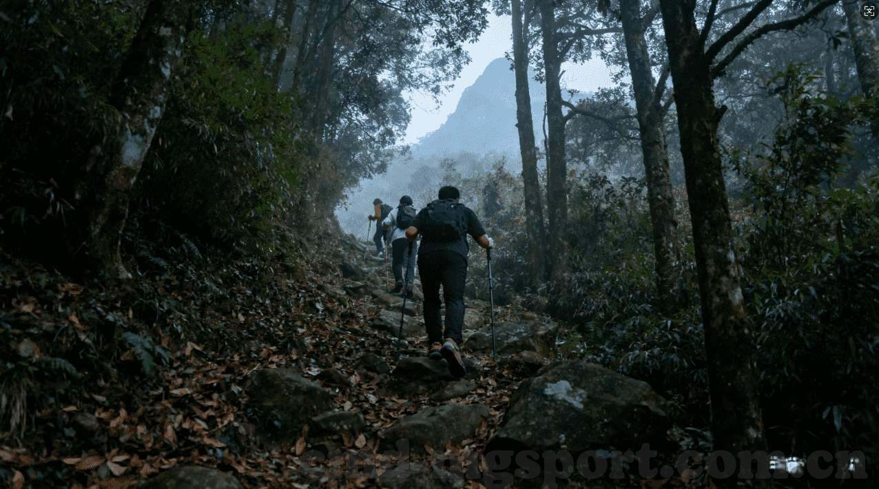 亚博百家乐网址是多少-亚博百家乐网址是多少，揭秘与警示